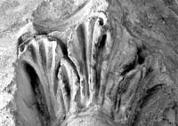 files/capitals/S-DEN-FR/thumbs/S-DEN-FR 0406.jpg